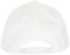 Baby Hats - Baseball Hat, Newborn Youth Flat Brim Mesh Trucker Surf Skate Bubba - Image 4