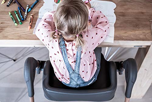 Maxi-Cosi 6-in-1 Minla High Chair, Essential Graphite - Image 2