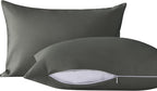 NTBAY 2 Pack Pillows with Microfiber Pillowcases, Soft Cotton Down Alternative by NTBAY