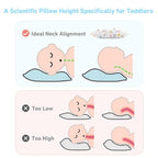 Toddler Pillow, 13X18 Toddler Pillows - Image 4