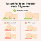 Toddler Pillow with Pillowcase - Image 6