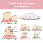 Toddler Pillow with Pillowcase - Image 6