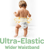 Parasol Clear+Dry Disposable Diapers and Clear+Pure Wipes, RashShield Protection - Image 7