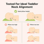 Toddler Pillow with Pillowcase - Image 6