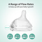 PPSU Natural Baby Bottle with Medium Flow Nipple, Anti-Colic, Wide Neck - Image 7