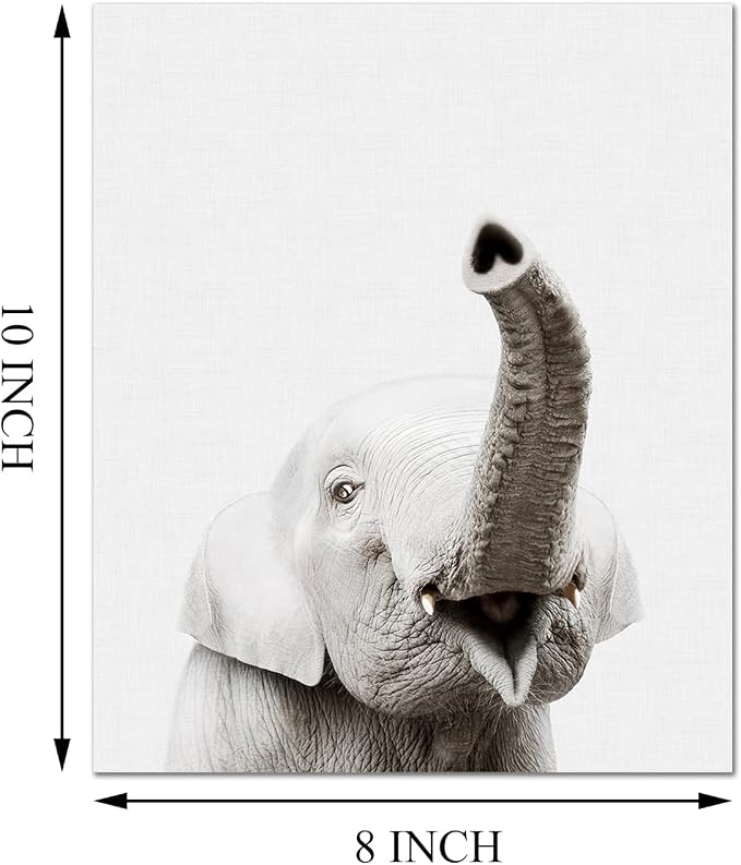 Safari Cute Animal Decor: Rhino, Zebra - Image 6
