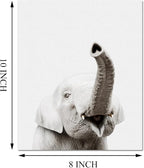 Safari Cute Animal Decor: Rhino, Zebra - Image 6