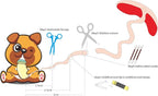 Puppy Kitten Whelping Kit, Essentials Kit - Image 7
