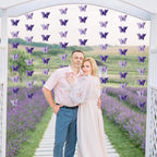 Butterfly Decorations - Image 4