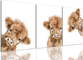 AOYUSMO 3 Piece Cute Highland Cow Canvas Wall Art Nursery Funny Animal Framed by Unknown