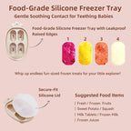 4 Pack Stylish Anti-Drop Fruit Pacifier Feeder, Breastmilk Popsicle Molds - Image 4