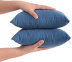 FLXXIE 2 Pack Microfiber Tiny Pillows, 11x7 Inches, Mini by FLXXIE