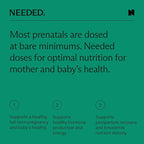 Needed. Vanilla Prenatal Multivitamin Powder & Omega-3 Bundle | Nutrient Support - Image 4