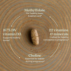 New Chapter Prenatal Vitamins, One Daily Prenatal Multivitamin - Image 3