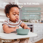 WeeSprout Suction Bowls for Baby & Toddlers - Image 3