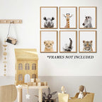 Safari Cute Animal Decor: Rhino, Zebra - Image 2
