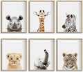 Safari Cute Animal Decor: Rhino, Zebra by CALMART