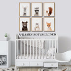Jungle Safari Decor - Image 7