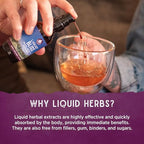 WishGarden Herbs Daily Immune Builder - Image 5
