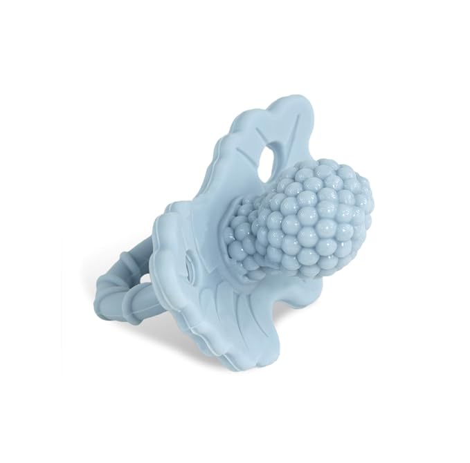 RaZbaby RaZberry Silicone Teether Pacifier – Teething Relief by RaZbaby