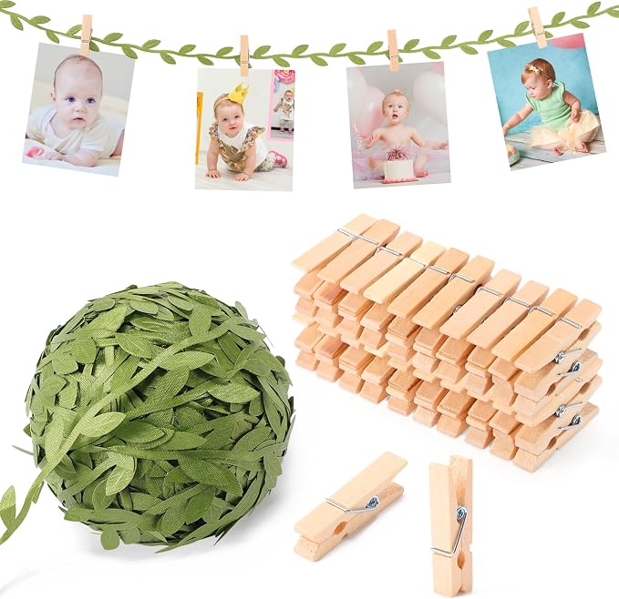 Leinuosen 51 Pcs 1.35 Inch Mini Clothespins by Leinuosen