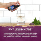 WishGarden Herbs Daily Immune Builder - Image 5