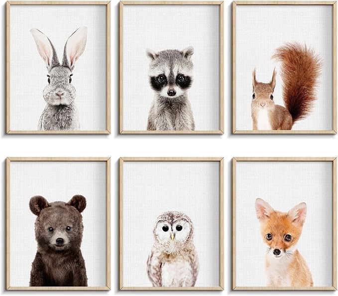 Jungle Safari Decor by CALMART