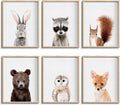 Jungle Safari Decor by CALMART
