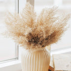 40 PCS Nature Pampas Grass Bouquet Decor - Image 5