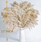 40 PCS Nature Pampas Grass Bouquet Decor - Image 6