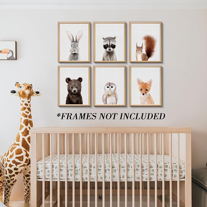 Jungle Safari Decor - Image 6