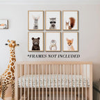 Jungle Safari Decor - Image 6