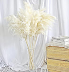 35-inch Tall White Pampas Grass Bouquet Decor - Image 2