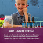 WishGarden Herbs Sleepy Nights for Kids - Image 5