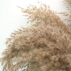 30-inch Tall Nature Pampas Grass Bouquet Decor - Image 5