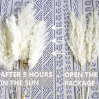 35-inch Tall White Pampas Grass Bouquet Decor - Image 5