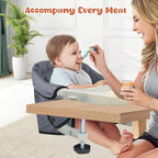 Hook On High Chair, Jozzve Clip on High Chair - Image 6