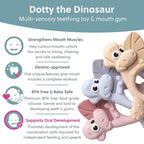 Bibado - Dotty The Dinosaur Teething Toys, Mist - Multi-Sensory Teether - BPA - Image 3