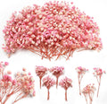 6'' Mini Size Pink & White Dried Babys Breath Flowers 4000+, Dry Flowers Bulk by Glicrili