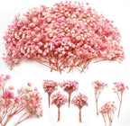6'' Mini Size Pink & White Dried Babys Breath Flowers 4000+, Dry Flowers Bulk by Glicrili