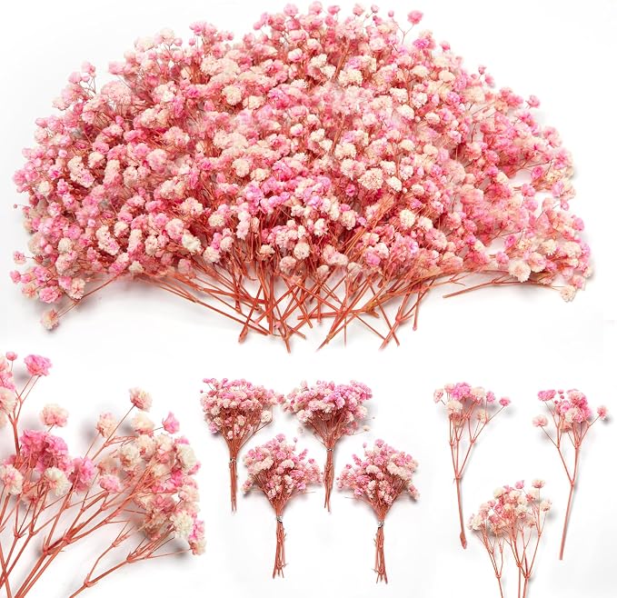 6'' Mini Size Pink & White Dried Babys Breath Flowers 4000+, Dry Flowers Bulk by Glicrili