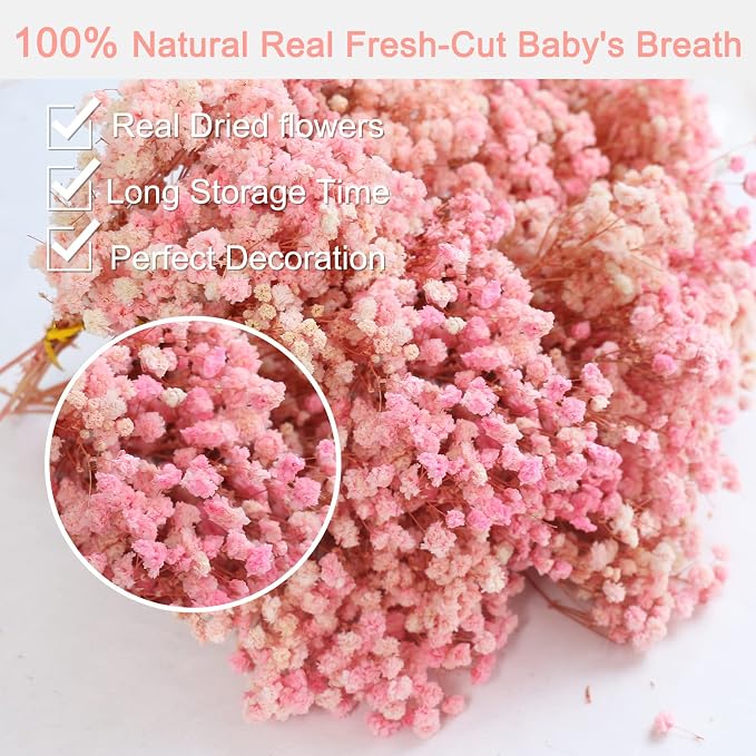 6'' Mini Size Pink & White Dried Babys Breath Flowers 4000+, Dry Flowers Bulk - Image 5