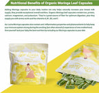 Go-Lacta 100% Organic Premium Moringa Capsules - Image 8
