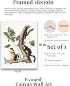 KensTro Vintage Framed Wall Art, Three Cute Squirrels Crawl on Tree Branch - Image 2