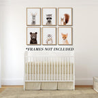 Jungle Safari Decor - Image 8