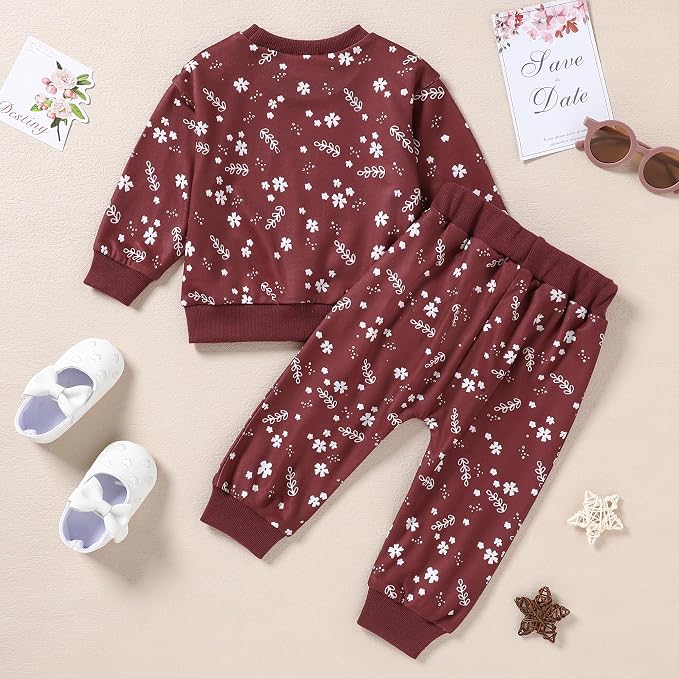 ZOEREA Toddler Baby Girl Clothes Long Sleeve Pullover Tops + Pants Set Floral - Image 5