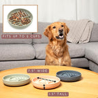 Should We Go? Slow Feeder for Dogs & Puppies, The Slowdown Bowl Silicone Slow - Image 4