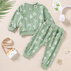 ZOEREA Toddler Baby Girl Clothes Long Sleeve Pullover Tops + Pants Set Floral - Image 2