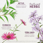 WishGarden Herbs Kick-It Allergy - Image 4