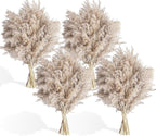40 PCS Nature Pampas Grass Bouquet Decor - Image 2